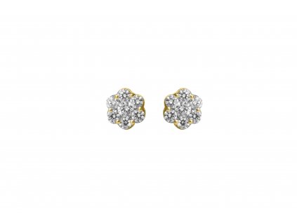 Earring Gold 1