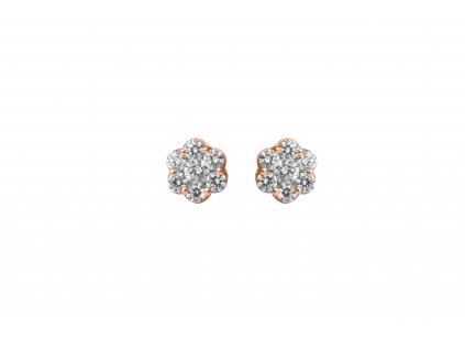 Earring rose Gold 1